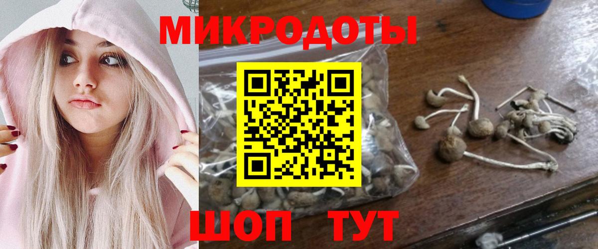 Галлюциногенные грибы MAGIC MUSHROOMS Асино